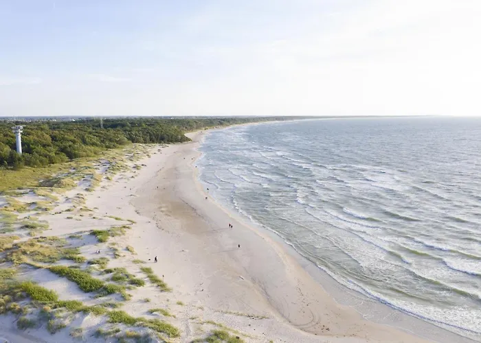 Aqua Polanki Surfingbird